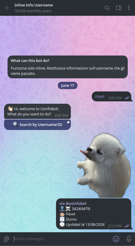@usinfobot verification screenshot