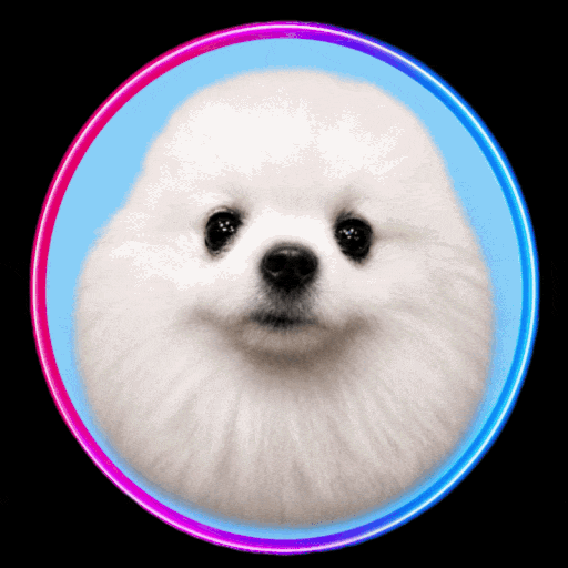 Pyonya — Durov's Dog